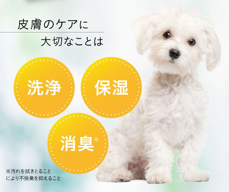 ドクターワンバリア｜ふくのきもち